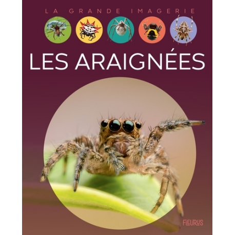 Les araignées - Album