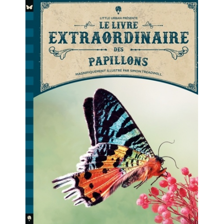 Le Livre extraordinaire