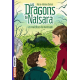 Les dragons de Nalsara 11