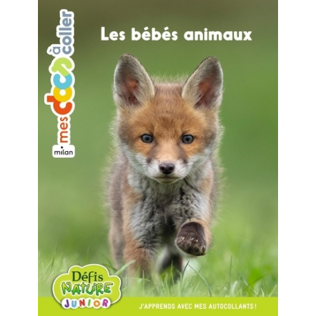 Les bébés animaux - Album