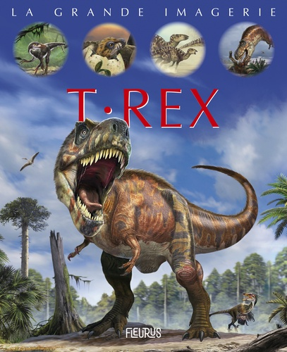 Puzzle dinosaure 5 ans vert pomme - Le T rex francais