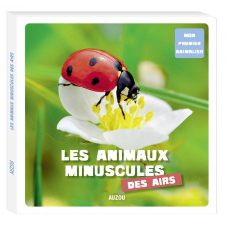 Les animaux minuscules des airs - Grand Format