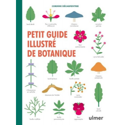 Petit guide illustré de botanique - Grand Format