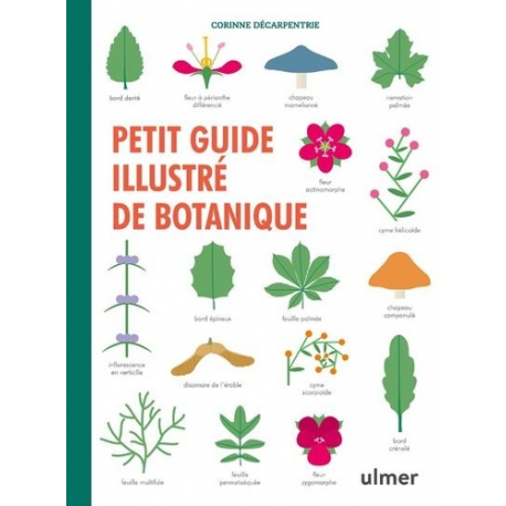 Petit guide illustré de botanique - Grand Format