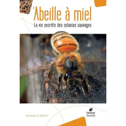 L'abeille à miel - La vie secrète des colonies sauvages - Grand Format