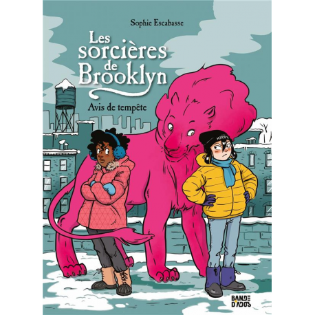 Sorcières de Brooklyn (Les) - Tome 2 - Avis de tempête