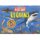 Requins - 8 pop-ups - Album